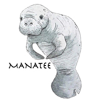  Jaco Surfboards La 014